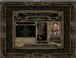 Baldur's Gate 2 menu shot